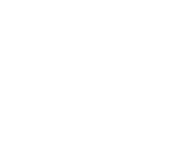 Warp Systems Logo